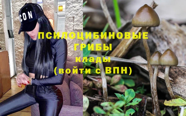 mix Алексеевка