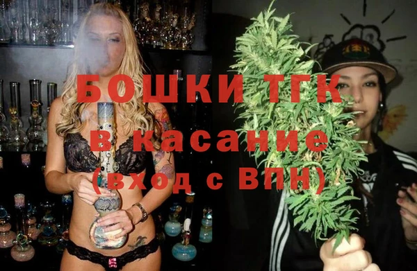 гидра Алексин