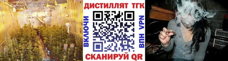 Дистиллят ТГК Wax сколько стоит дарк нет клад Мамоново