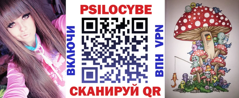 где купить наркоту  Мамоново  Галлюциногенные грибы Psilocybine cubensis 